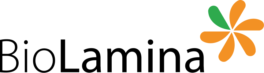 Color 2022